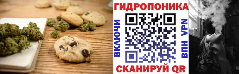OMG ссылка  Шимановск  Canna-Cookies конопля 