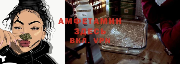 сатива Абинск
