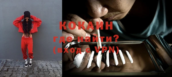 сатива Абинск