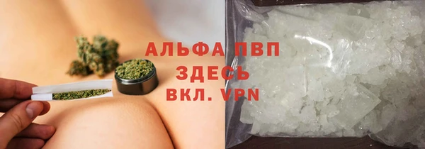 сатива Абинск