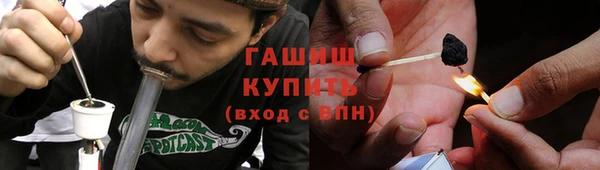 сатива Абинск