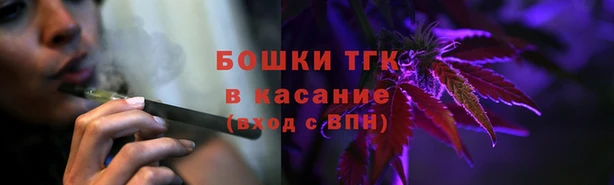 сатива Абинск