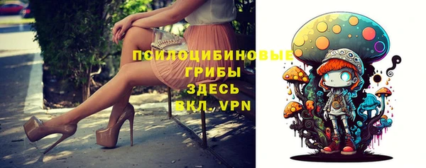 сатива Абинск