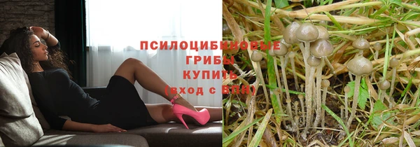 ешки Абаза