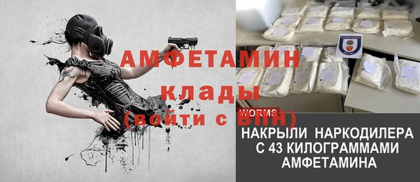 сатива Абинск